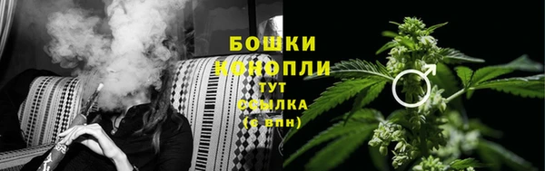 ГАЛЛЮЦИНОГЕННЫЕ ГРИБЫ Медногорск