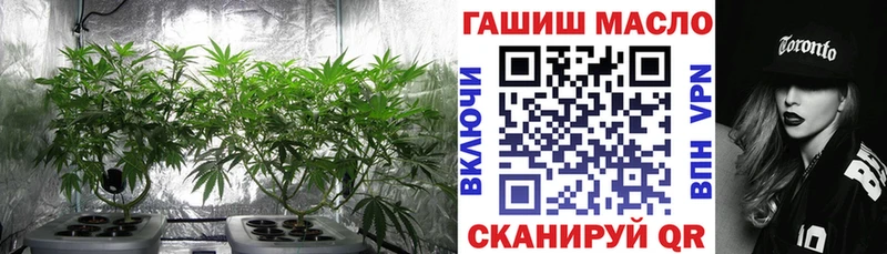 Купить  Курган  ТГК гашишное масло 